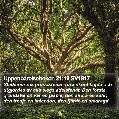 Uppenbarelseboken 21:19 SV1917 Bible Verse Image