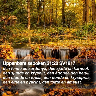 Uppenbarelseboken 21:20 SV1917 Bible Verse Image
