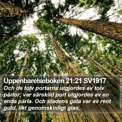 Uppenbarelseboken 21:21 SV1917 Bible Verse Image