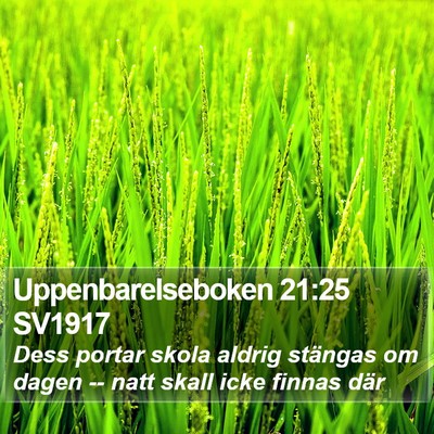 Uppenbarelseboken 21:25 SV1917 Bible Verse Image