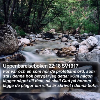 Uppenbarelseboken 22:18 SV1917 Bible Verse Image