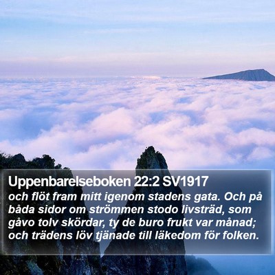 Uppenbarelseboken 22:2 SV1917 Bible Verse Image