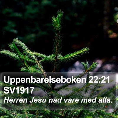 Uppenbarelseboken 22:21 SV1917 Bible Verse Image