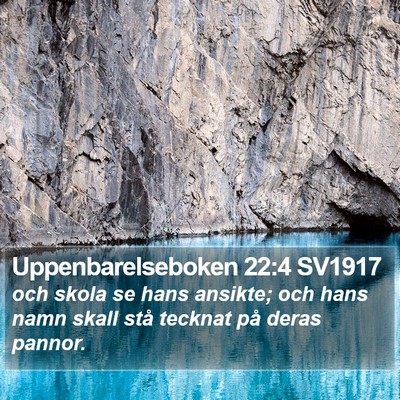 Uppenbarelseboken 22:4 SV1917 Bible Verse Image