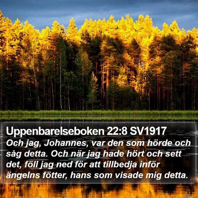 Uppenbarelseboken 22:8 SV1917 Bible Verse Image