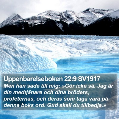 Uppenbarelseboken 22:9 SV1917 Bible Verse Image