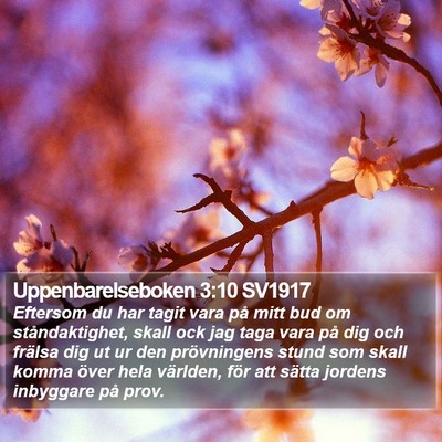 Uppenbarelseboken 3:10 SV1917 Bible Verse Image