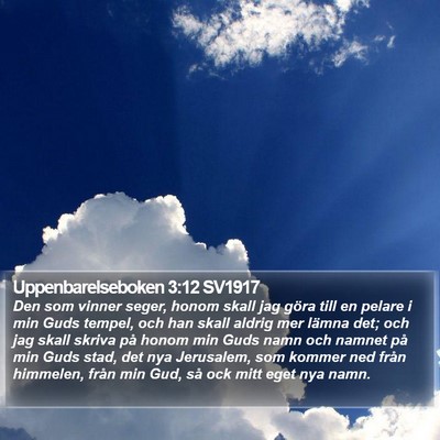 Uppenbarelseboken 3:12 SV1917 Bible Verse Image