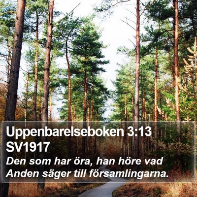 Uppenbarelseboken 3:13 SV1917 Bible Verse Image