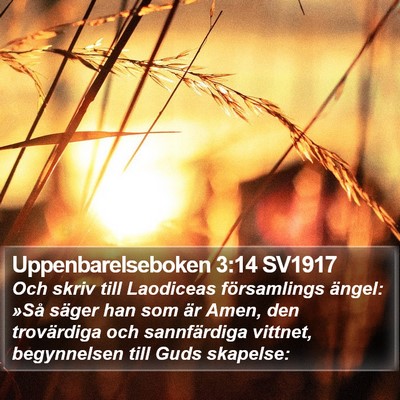 Uppenbarelseboken 3:14 SV1917 Bible Verse Image