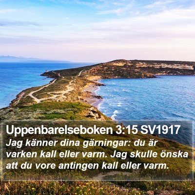 Uppenbarelseboken 3:15 SV1917 Bible Verse Image