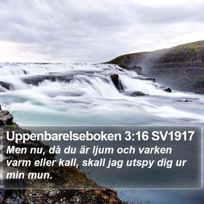 Uppenbarelseboken 3:16 SV1917 Bible Verse Image