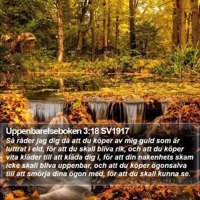 Uppenbarelseboken 3:18 SV1917 Bible Verse Image