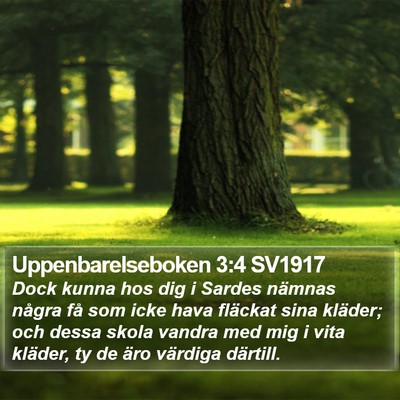 Uppenbarelseboken 3:4 SV1917 Bible Verse Image