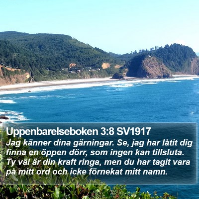 Uppenbarelseboken 3:8 SV1917 Bible Verse Image