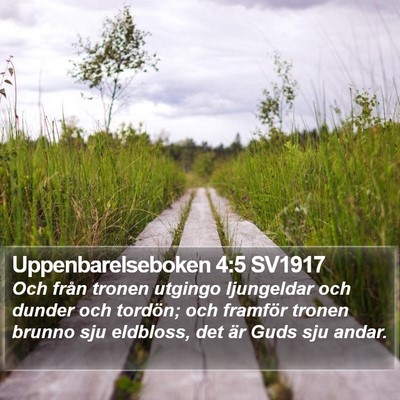 Uppenbarelseboken 4:5 SV1917 Bible Verse Image