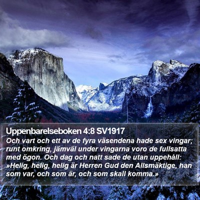 Uppenbarelseboken 4:8 SV1917 Bible Verse Image