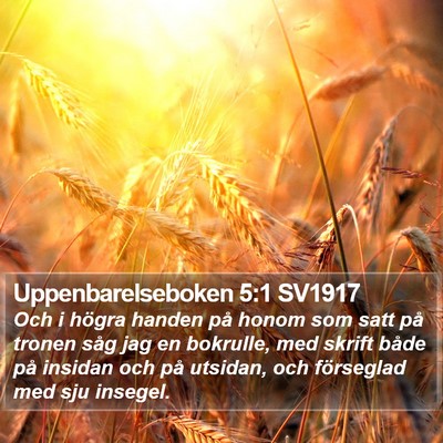 Uppenbarelseboken 5:1 SV1917 Bible Verse Image