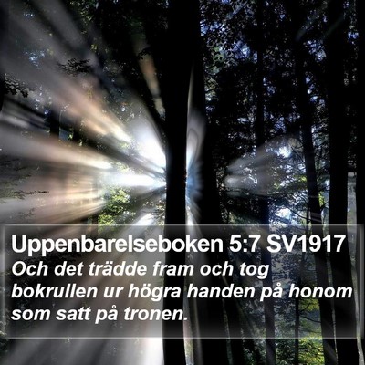 Uppenbarelseboken 5:7 SV1917 Bible Verse Image