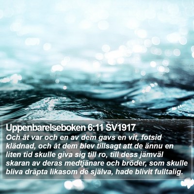 Uppenbarelseboken 6:11 SV1917 Bible Verse Image