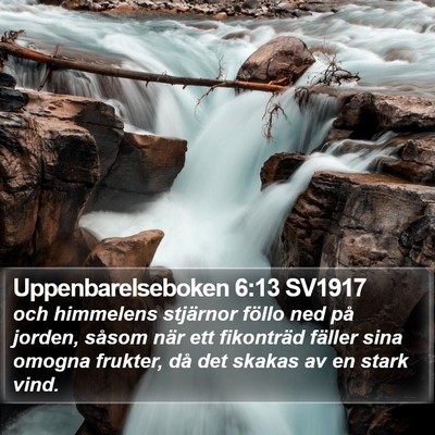 Uppenbarelseboken 6:13 SV1917 Bible Verse Image