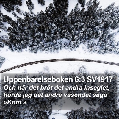 Uppenbarelseboken 6:3 SV1917 Bible Verse Image