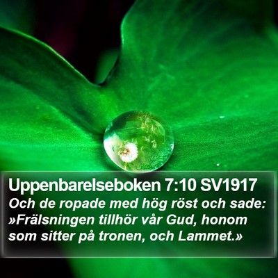 Uppenbarelseboken 7:10 SV1917 Bible Verse Image