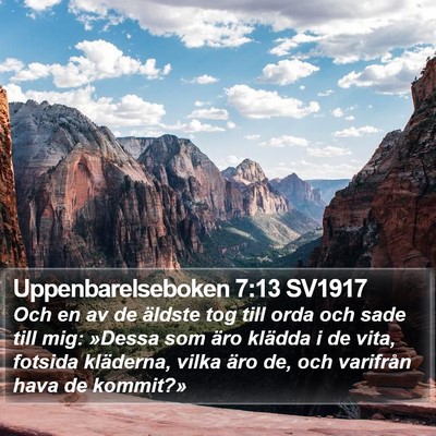 Uppenbarelseboken 7:13 SV1917 Bible Verse Image