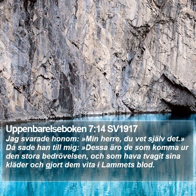 Uppenbarelseboken 7:14 SV1917 Bible Verse Image