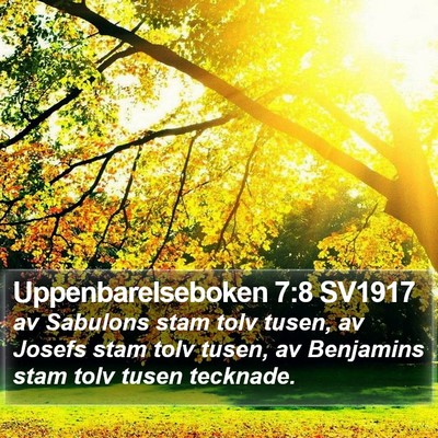 Uppenbarelseboken 7:8 SV1917 Bible Verse Image