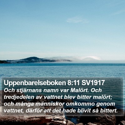 Uppenbarelseboken 8:11 SV1917 Bible Verse Image