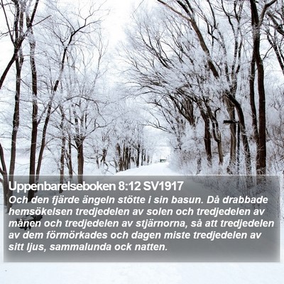 Uppenbarelseboken 8:12 SV1917 Bible Verse Image