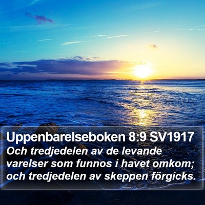 Uppenbarelseboken 8:9 SV1917 Bible Verse Image