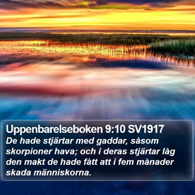 Uppenbarelseboken 9:10 SV1917 Bible Verse Image