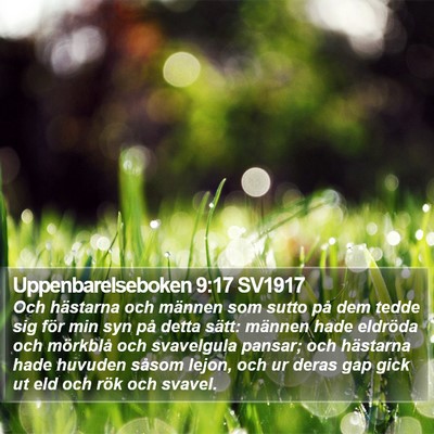 Uppenbarelseboken 9:17 SV1917 Bible Verse Image