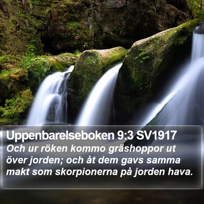 Uppenbarelseboken 9:3 SV1917 Bible Verse Image