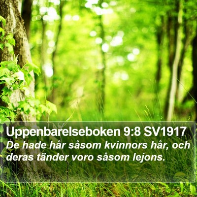 Uppenbarelseboken 9:8 SV1917 Bible Verse Image
