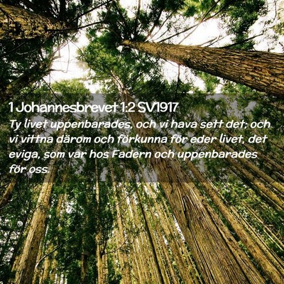 Picture 02 - 1 Johannesbrevet 1:2 SV1917 - Ty livet uppenbarades, och vi hava sett det; och - Bible Verse Picture