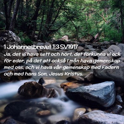 Picture 02 - 1 Johannesbrevet 1:3 SV1917 - Ja, det vi hava sett och hört, det förkunna vi - Bible Verse Picture