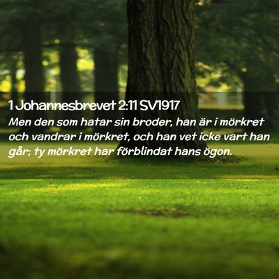Picture 02 - 1 Johannesbrevet 2:11 SV1917 - Men den som hatar sin broder, han är i mörkret - Bible Verse Picture