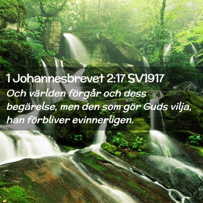 Picture 02 - 1 Johannesbrevet 2:17 SV1917 - Och världen förgår och dess begärelse, men - Bible Verse Picture