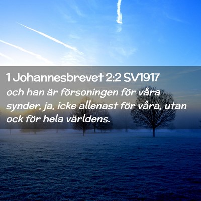 Picture 02 - 1 Johannesbrevet 2:2 SV1917 - och han är försoningen för våra synder, ja, - Bible Verse Picture