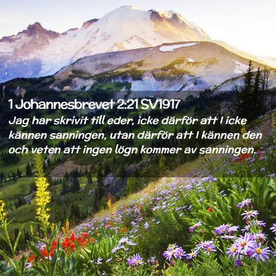 Picture 02 - 1 Johannesbrevet 2:21 SV1917 - Jag har skrivit till eder, icke därför att I - Bible Verse Picture