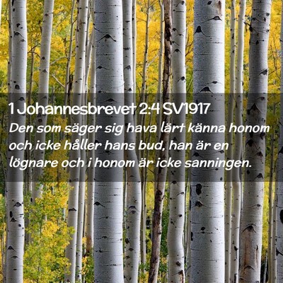 Picture 02 - 1 Johannesbrevet 2:4 SV1917 - Den som säger sig hava lärt känna honom och - Bible Verse Picture