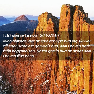 Picture 02 - 1 Johannesbrevet 2:7 SV1917 - Mina älskade, det är icke ett nytt bud jag - Bible Verse Picture