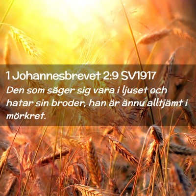 Picture 02 - 1 Johannesbrevet 2:9 SV1917 - Den som säger sig vara i ljuset och hatar sin - Bible Verse Picture