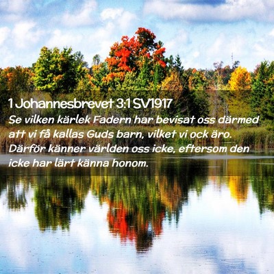 Picture 02 - 1 Johannesbrevet 3:1 SV1917 - Se vilken kärlek Fadern har bevisat oss därmed - Bible Verse Picture