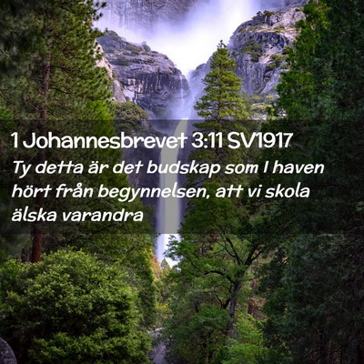 Picture 02 - 1 Johannesbrevet 3:11 SV1917 - Ty detta är det budskap som I haven hört från - Bible Verse Picture