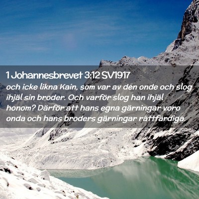 Picture 02 - 1 Johannesbrevet 3:12 SV1917 - och icke likna Kain, som var av den onde och slog - Bible Verse Picture