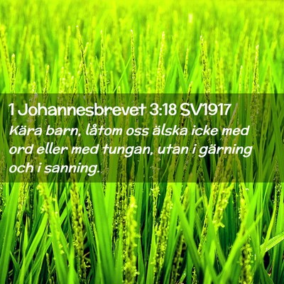 Picture 02 - 1 Johannesbrevet 3:18 SV1917 - Kära barn, låtom oss älska icke med ord eller - Bible Verse Picture